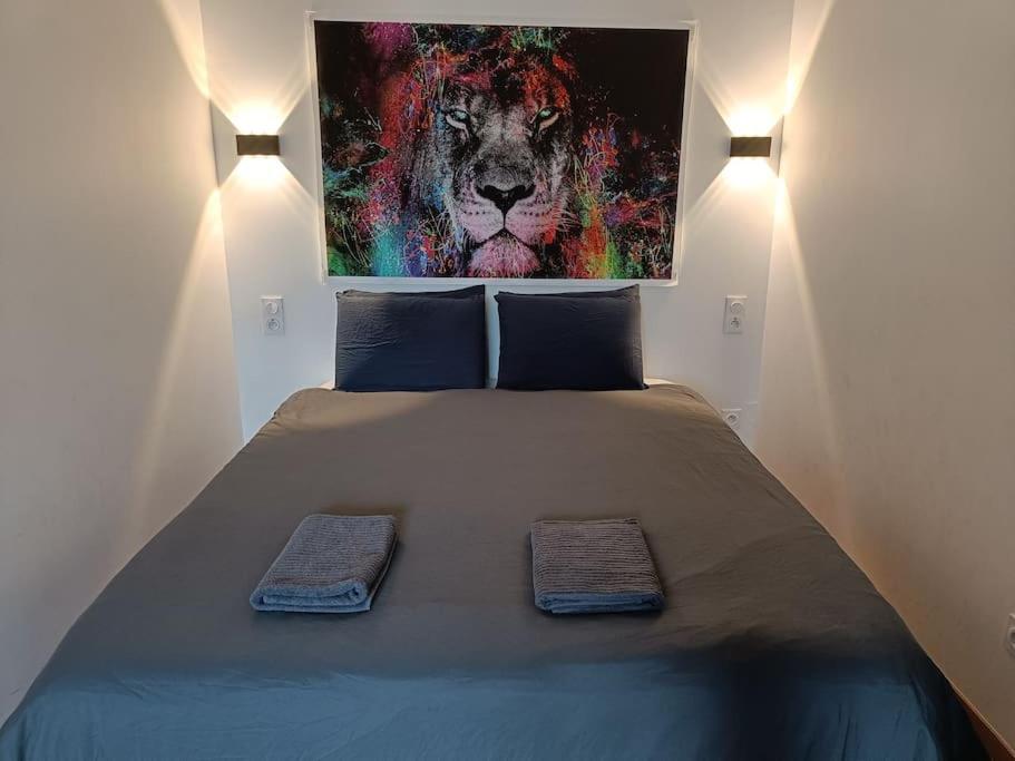 Appartement Confort Equipe Au Coeur De Béziers Exteriér fotografie