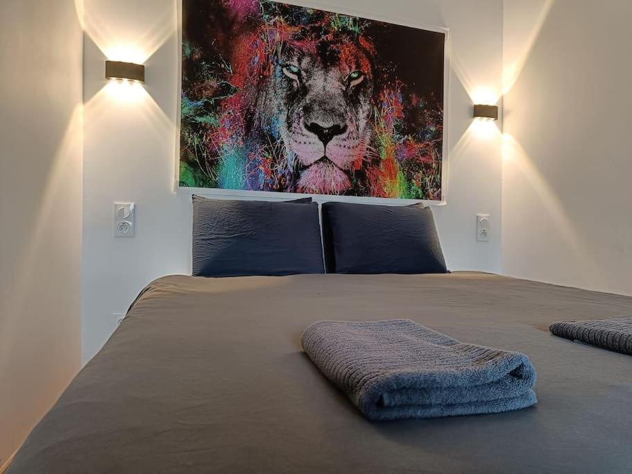 Appartement Confort Equipe Au Coeur De Béziers Exteriér fotografie